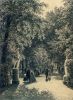 Shishkin I. Alley of the Summer Garden in St. Petersburg. 1869
